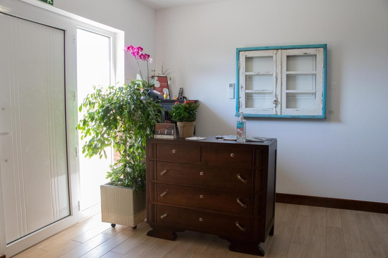 Bed and Breakfast Ninho D'Arara à Tondela Extérieur photo